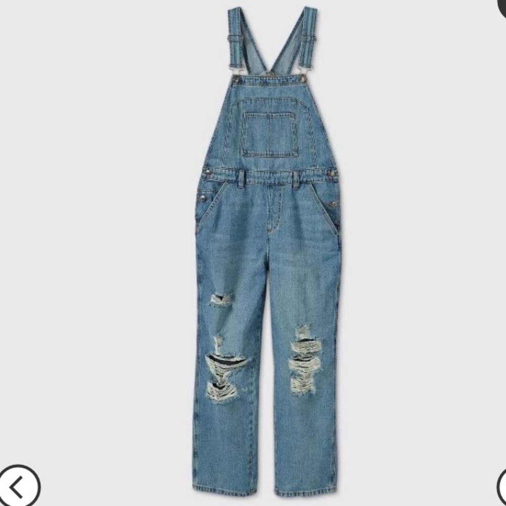 Wild fable overalls!